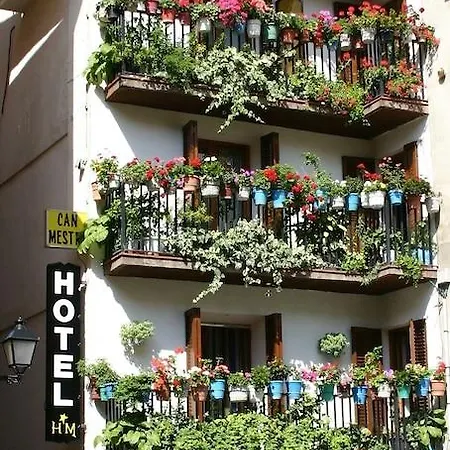 Mestre Hotel El Pont de Suert