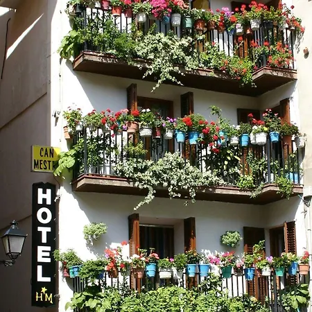 Hotel Mestre El Pont de Suert